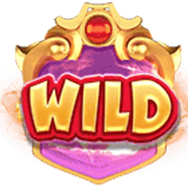 สัญลักษณ์ Wild Brothers Kingdom 2